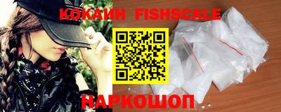 соль ск Партизанск